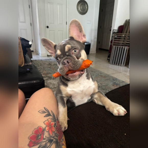 @catherinesfomo FLYER!!! - Picture 16 of 16